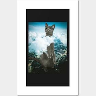 Curious Cat Posters and Art